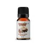 Masala Drops Bombay Chai Masala Authentic And Original Mumbai Cutting Chai, 10 Ml