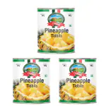 Caneen Pineapple Tidbits 840 Gm ( Pack of 3 )