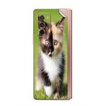 GADGETSWRAP Printed Vinyl Skin Sticker for Samsung Galaxy Z Fold 2 - wallpaper-9