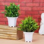 Dekorly 2 Packs Fake Plants Artificial Greenery Plants in Pots for Home Bedroom Bathroom Farmhouse Kitchen Decor Indoor