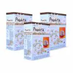 Pristine POUSHTIK Cereal Based Baby Food 300g (6-24 Months) - Pack of 3