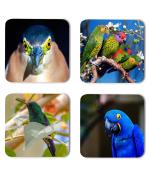 Whats Your Kick Birds Lover Parrots Printed Set of 4 Coaster With Metal Stand