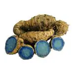 Black turmeric 51 gm | kali haldi | karumanjal | karuppu manjal