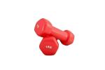 Healthex Multicolor Vinyl, Cast Iron Dumbbell, 1 Kg
