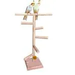 Sage Square 24 Inch 61 Cm Wood Training Cum Exercise 5 Stairs Playful Perch Bird Stand Bird Toy