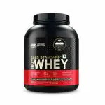 BIGNLEAN.COM Optimum Nutrition (ON) Gold Standard 100% Whey Protein 1.7 Kg Double Rich Chocolate
