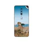 GADGETSWRAP Printed Vinyl Skin Sticker for Oneplus 7 Pro - South Africa Leopard
