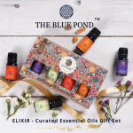 The Blue Pond- Elixir Luxury Gift Set of 4 curated Pure Organic Essential Oils- Lavender, Jasmine, Carrot Seed & Frankincense