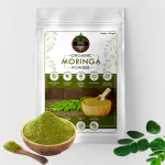 Terra Organics Moringa Ayurvedic Powder 100 gm Green Goodness for vitality