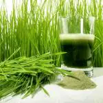 AYODvati wheat grass seeds (1kg) Grow Your Nutrient-Packed Wheatgrass with Premium Seeds | Grows all Season Indoor and Outdoor (Pack 1 kg)