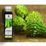 Karela Extract Concentrate