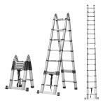 Corvids Portable and Compact 18.5 ft A Type Aluminium Telescopic Ladder with 18 steps; for Household and Outdoor, EN131 certified (19 ft (5.6 m) - A type)