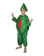 Kaku Fancy Dresses Watermelon Fruits Costume -Red & Green, 3-4 Years, for Boys & Girls