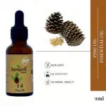 Samazh Organic Pine Essential Oil, 100% Pure & Natural for Hair, Skin, Face (10 ml) DROPPER