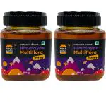 NECTWORKS Pure Natural Himalayan Multi Flora Honey Bottle , 250 g (pack of-2)