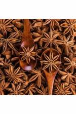 GOLDEN RESOURCES 100% Pure Premium Quality Fresh Star Anise Spice, 100g PO1