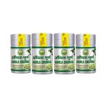 Basic Ayurveda Aamla Churna 100 g Pack of 4