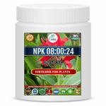Erwon NPK 08:00:24 for Plants (400 gm)