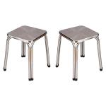 TRENDS FURNISHERS Home/Doctor/Medical/Warehouse/Garage/Kitchen/Bathroom/Multipurpose stool Stool (Silver, Pre-assembled) Pack of 2