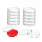 GoLab Laboratory Polypropylene Petri dish - 90mm | ETO Strile Lab| Tested, Export Quality with Vented Lid, |(Pack of 10)