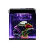 Buraq Black Moulded Curve Glass Aquarium Fish Tank -235 with Multi Color LED Lighting