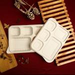 3 Compartment Disposable Plates with Lid Cover (Pack of 50)