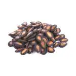 Plantzoin Water melon Kharbooza Cucumis melo Tarabhuja 50 Seeds for Cultivation