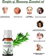Edith Naturals Rosemary Essential Oil - 100% Pure Therapeutic Grade (15 Ml)