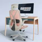 DROGO Premium Ergonomic Office Chair for Work from Home, High Back Computer Chair with Adjustable Seat, Headrest, Lumbar Support, Flip-up Armrest & Recline | Mesh Chair for Office/Home (White-Pink)