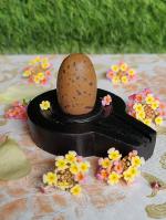 Narmada Shivling Narmadeshwar Shiva Lingam with Narmada Stone Jaladhari Stand for Home , Office Pooja & Maditation & Prayer Dhayn Shadhna ( 1.5 INCH Lingam - 3 INCH Base)