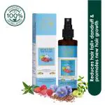 BOON HERBS EASY USE Men's Bioactive Hair Vitalizer