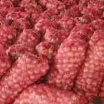 THE ANTILLES FABRICS Multipurpose Big Size Net Leno Bag for Storage Onion, Garlic, Potatoes, Storage Bag For Packaging Vegetable & Fruits - 58 X 97 inch, Red_Set of 50