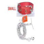 SUPER CHAIN Dog Belt Combo Nylon Collar with Heavy Chain Leash Dog Collar & Leash (Small, Red)