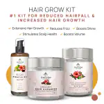 The Tribe Concepts Hair Grow Kit/With Steel Tin