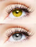 EYCOG Hazel PolyHema Contact Lenses (Pack Of 2)