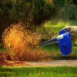 adnpower BLUE ANTI VIBRATION HEAVY DUTY DUST CLEANER AND VACUUM FOR HOME/CAR/OFFICE/SHOP Forward Curved Air Blower (Corded Vacuum)