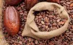 LJL Traders Sun Dried Cocoa Beans for Vegetarian 500 g