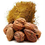 Green India Harad/Haritiki/Terminaia Chebula/Chebulic Myrobalan Ayurveda Tree Seeds_1000 gm