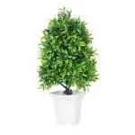 Dekorly Artificial Plant with Plastic Pot for Home Decoration, Small Mini Faux Plants with White Pot Indoor Study Table, Office Table Decor