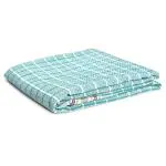 Strotam Pure Cotton Handloom Bath Towel Extra Large Size Bankura Gamcha (Set of 2 Green)
