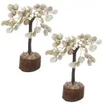 Divya Mantra Crystal Tree Feng Shui Gemstone Set of 2 Trees Gomati Chakra - White(5.5cmX5.5cmX18cm)