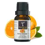 Charming Aura- Candle Making Kit of Pure & Natural Essential Oils (15ml Each)- 100% Therapeutic Grade for Meditation, Pure & Natural Essential Oil, Room Refreshener, Mosquito Repellent