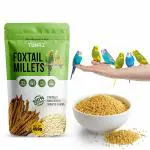 Tunai Foxtail Kangini Millet, Superior Bird Feed With High Protein, Assist In Regulating Digestion, Easing Stress And Great Treat During Weaning and Breeding 450g
