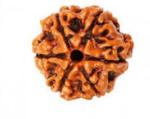Feeltouchmart Brown Wood 6 Mukhi Nepal Rudraksha Beads Hgj00-1001-2298