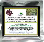 Mgbn The Path For The Healthier Life With Beauty Subabul Safed Babool Soundal Leucaena Fodder Tree Seed (1500 Seeds)
