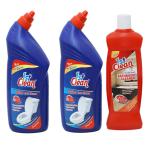 FC - 1ST CLEAN Disinfectant Bathroom Cleaner Liquid, Floral - 500ml & Toilet Cleaner Liquid - 1 Ltr ( Pack of 2)