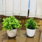Ryme Green Artificial Plants With Pot Vase For Home And Office Decoration- 12 cm (Pack Of 2)
