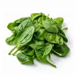 JIGNISHA SEEDS Green Spinach Vegetable Seeds Pack Of 200