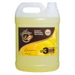SOULFRESH Disinfectant surface/ floor cleaner Liquid (Citrus) 5Ltr | Kills 99.9% germs |