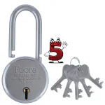 Foora Small Lock and Key Door Lock for Home Link Round 50mm Long Lock with 5 Keys Padlock for Shop, Iron gate